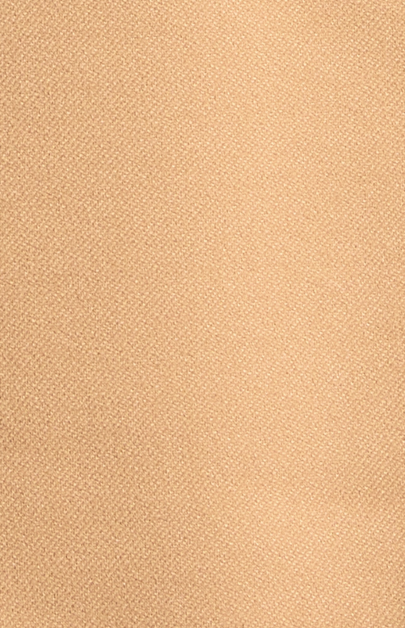 WJT266B Camel 1